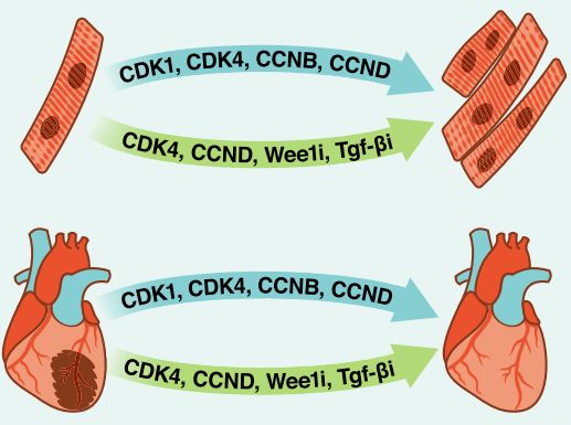 搜索结果-search results-奇点